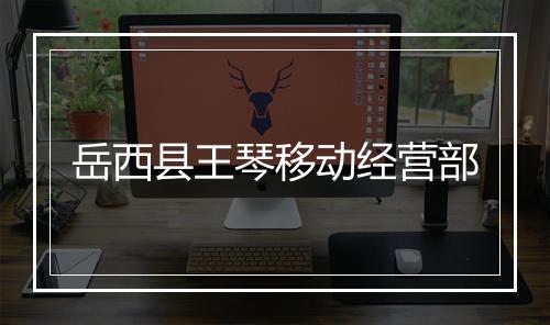 岳西县王琴移动经营部