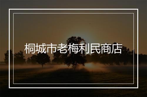 桐城市老梅利民商店
