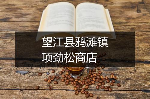 望江县鸦滩镇项劲松商店