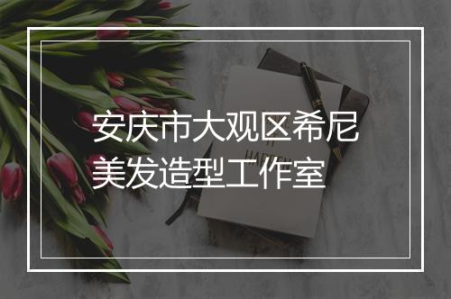 安庆市大观区希尼美发造型工作室