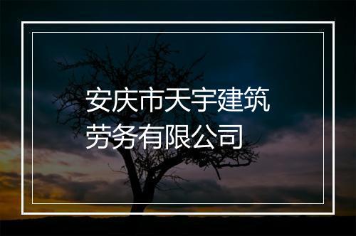 安庆市天宇建筑劳务有限公司