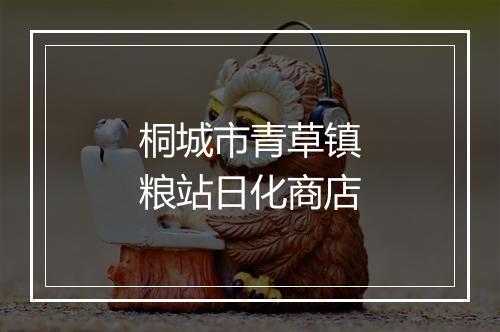 桐城市青草镇粮站日化商店