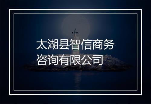 太湖县智信商务咨询有限公司