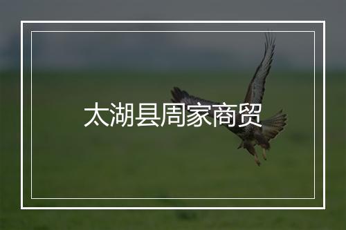 太湖县周家商贸