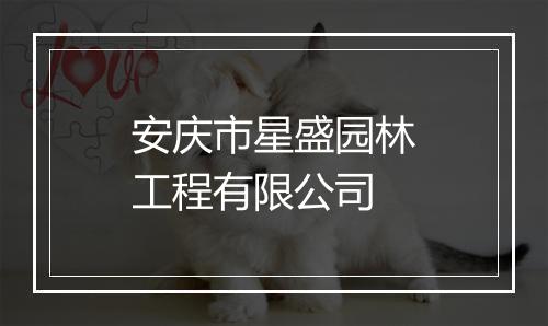 安庆市星盛园林工程有限公司
