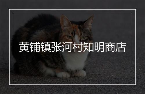 黄铺镇张河村知明商店