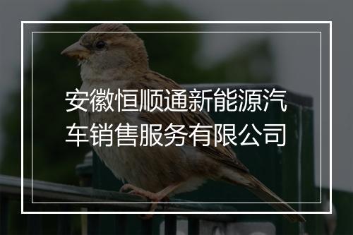 安徽恒顺通新能源汽车销售服务有限公司
