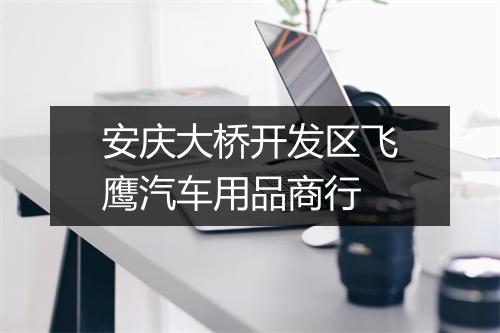 安庆大桥开发区飞鹰汽车用品商行