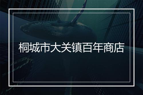 桐城市大关镇百年商店