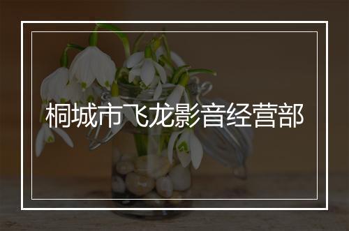 桐城市飞龙影音经营部