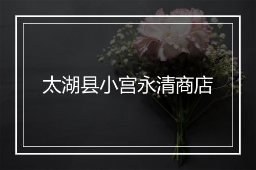 太湖县小宫永清商店