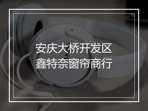 安庆大桥开发区鑫特奈窗帘商行