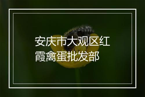 安庆市大观区红霞禽蛋批发部