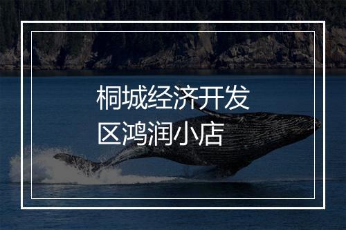桐城经济开发区鸿润小店