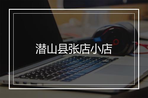 潜山县张店小店