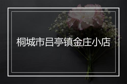 桐城市吕亭镇金庄小店