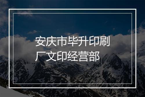安庆市毕升印刷厂文印经营部