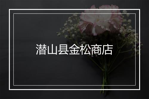 潜山县金松商店