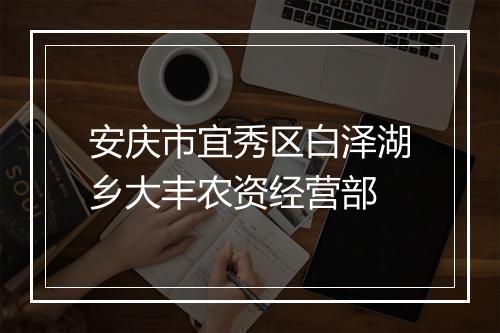 安庆市宜秀区白泽湖乡大丰农资经营部