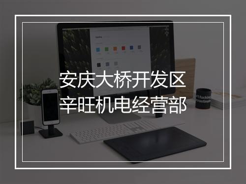 安庆大桥开发区辛旺机电经营部