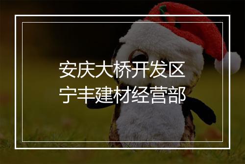 安庆大桥开发区宁丰建材经营部