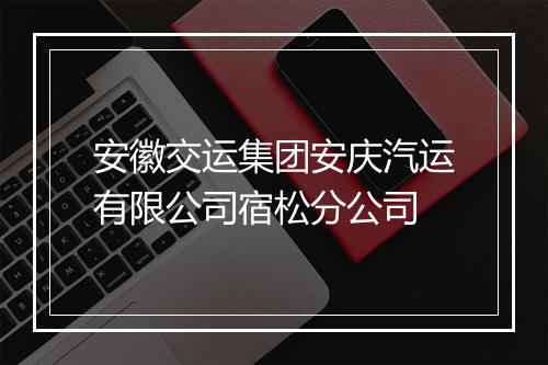 安徽交运集团安庆汽运有限公司宿松分公司