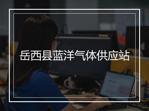 岳西县蓝洋气体供应站