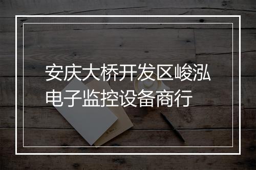 安庆大桥开发区峻泓电子监控设备商行