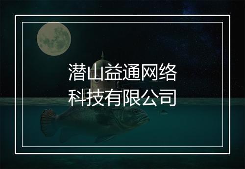 潜山益通网络科技有限公司