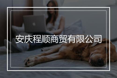 安庆程顺商贸有限公司