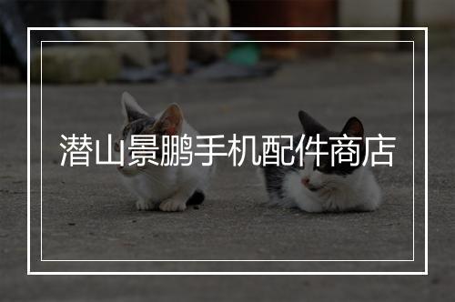 潜山景鹏手机配件商店