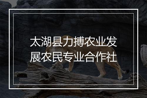 太湖县力搏农业发展农民专业合作社