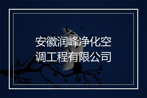 安徽润峰净化空调工程有限公司