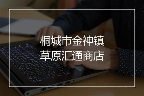 桐城市金神镇草原汇通商店