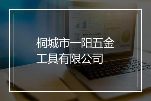 桐城市一阳五金工具有限公司