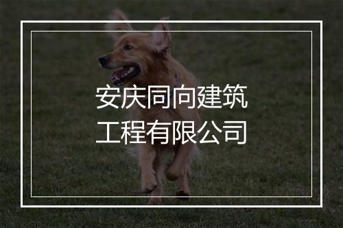 安庆同向建筑工程有限公司