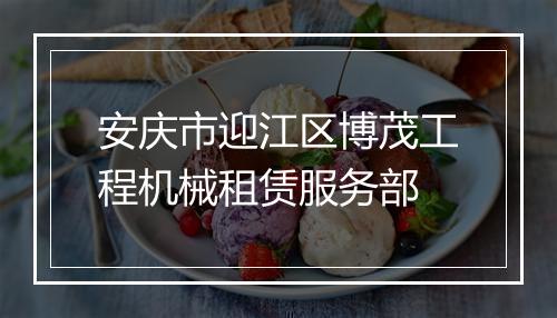 安庆市迎江区博茂工程机械租赁服务部
