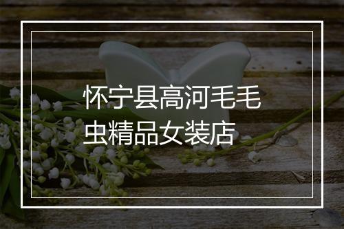 怀宁县高河毛毛虫精品女装店