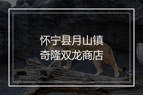 怀宁县月山镇奇隆双龙商店