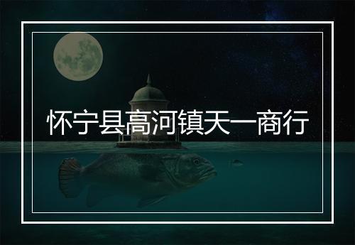 怀宁县高河镇天一商行