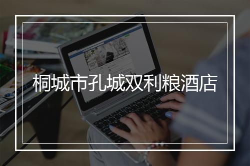 桐城市孔城双利粮酒店