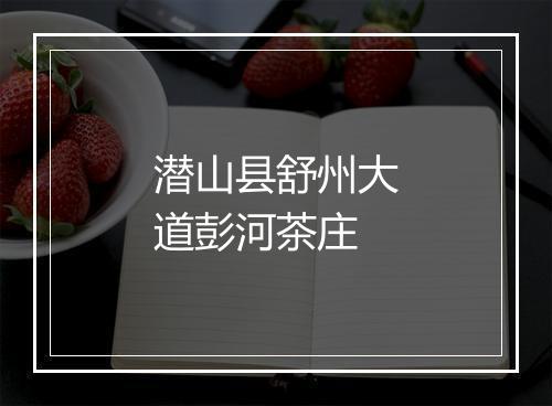 潜山县舒州大道彭河茶庄