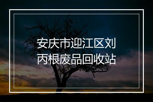 安庆市迎江区刘丙根废品回收站