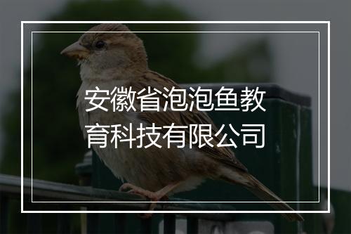 安徽省泡泡鱼教育科技有限公司