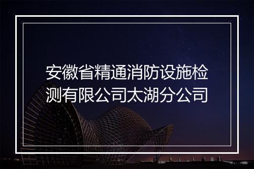 安徽省精通消防设施检测有限公司太湖分公司