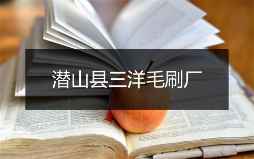 潜山县三洋毛刷厂