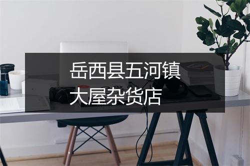 岳西县五河镇大屋杂货店