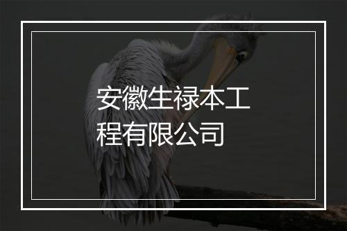 安徽生禄本工程有限公司