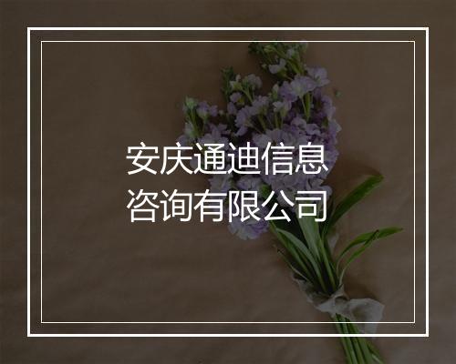 安庆通迪信息咨询有限公司
