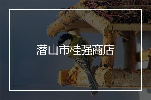 潜山市桂强商店